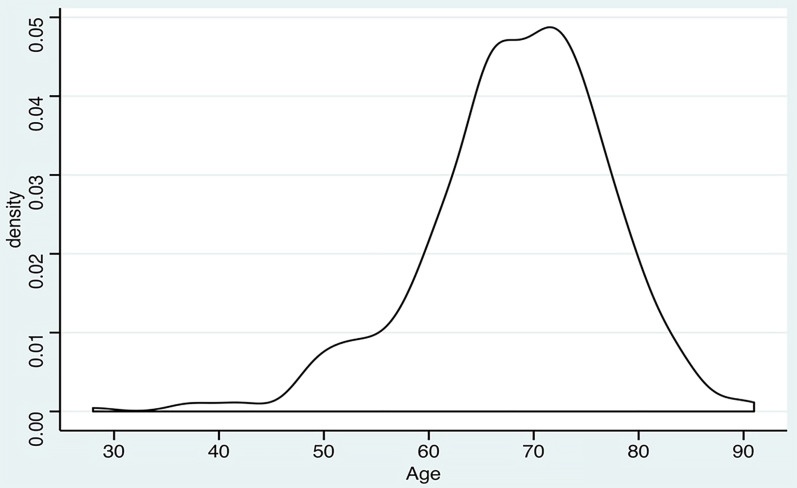 Fig. 1