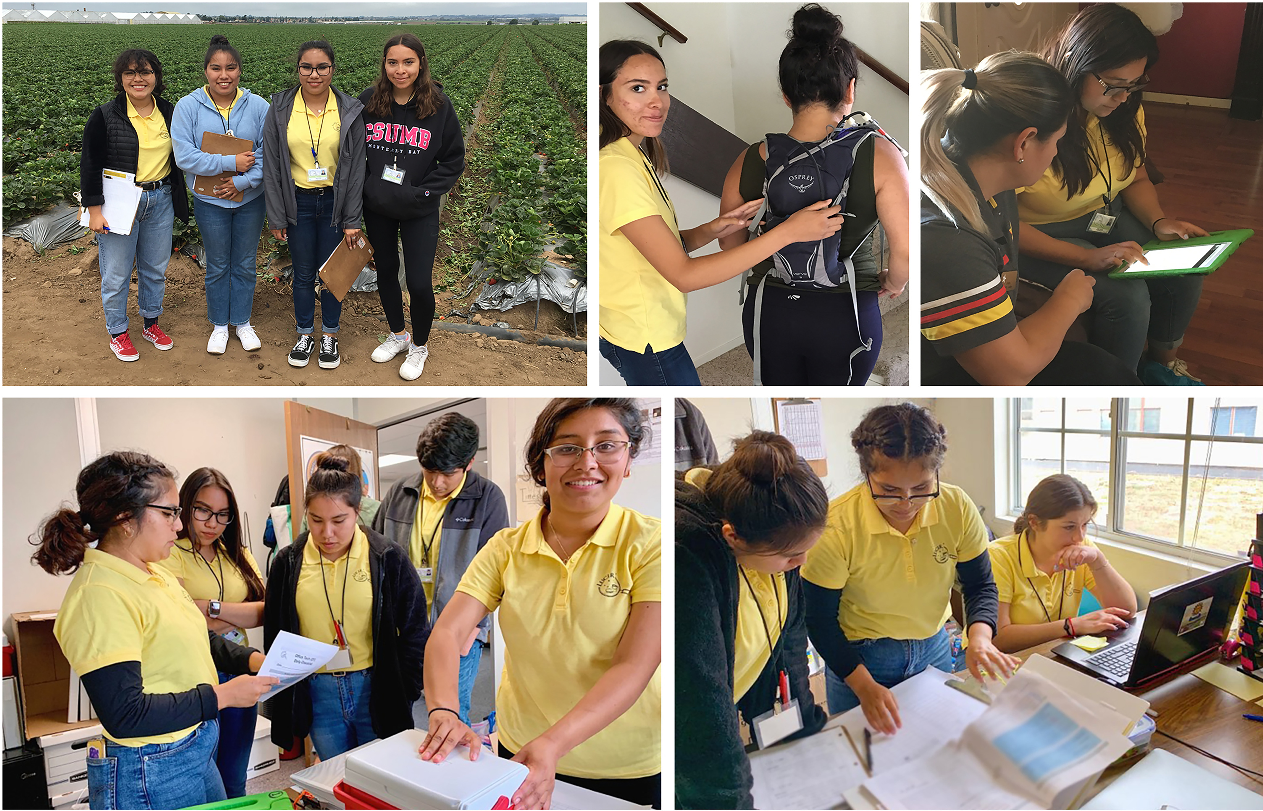 Five photos showing teenagers working together on a study.