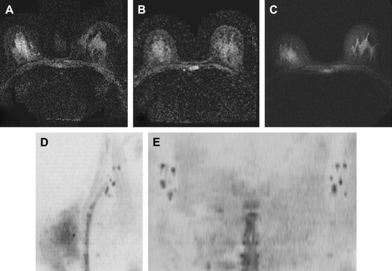 Figure 30