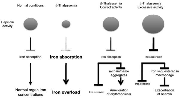 Fig.3