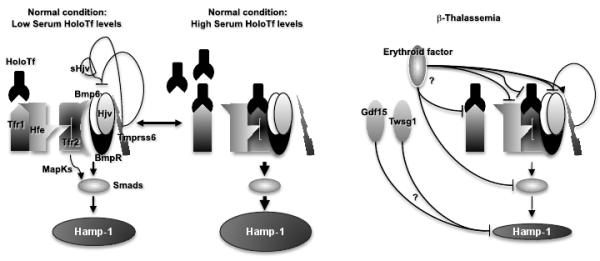 Fig.2