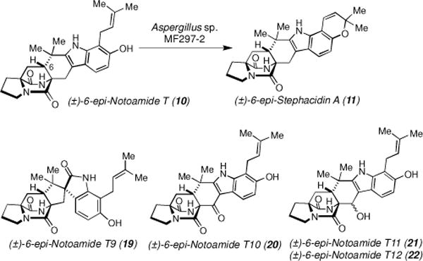 Scheme 3