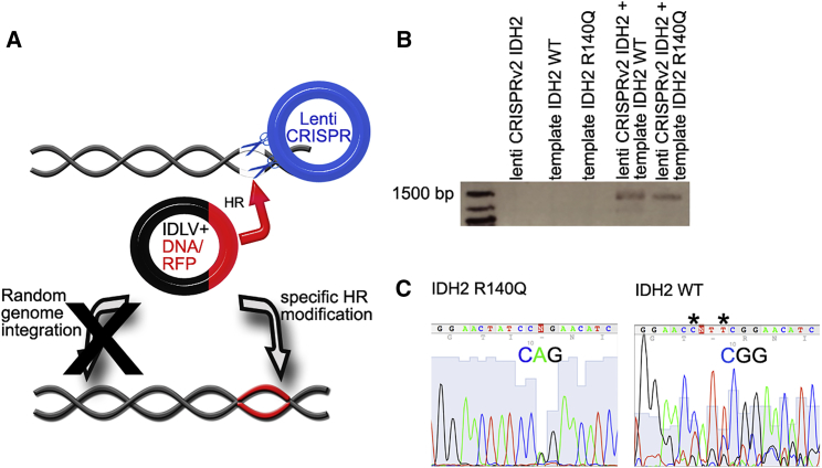 Figure 2