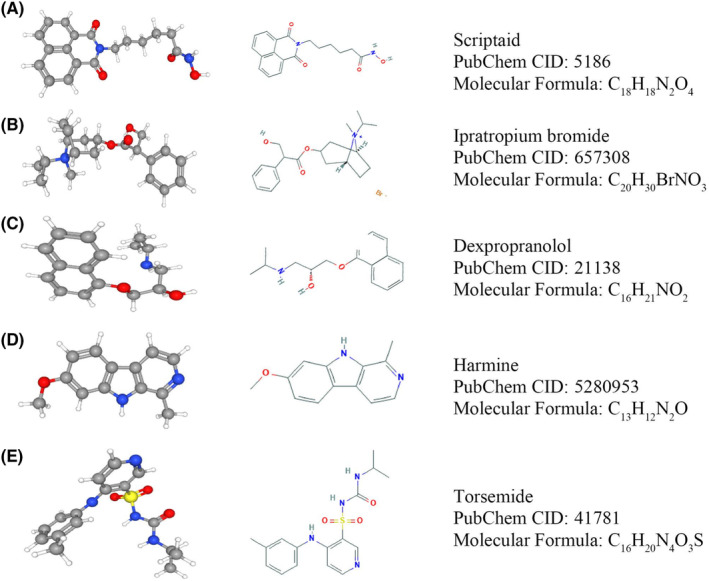 FIGURE 7