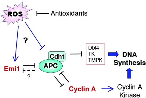 FIG. 7.