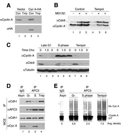 FIG. 5.