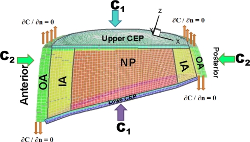 Fig. 1