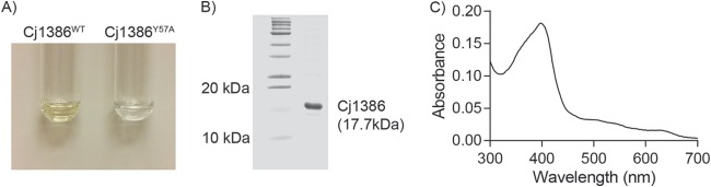 FIG 1