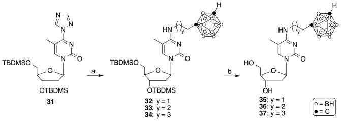 Scheme 4