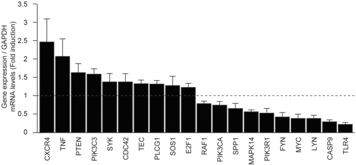 FIGURE 3