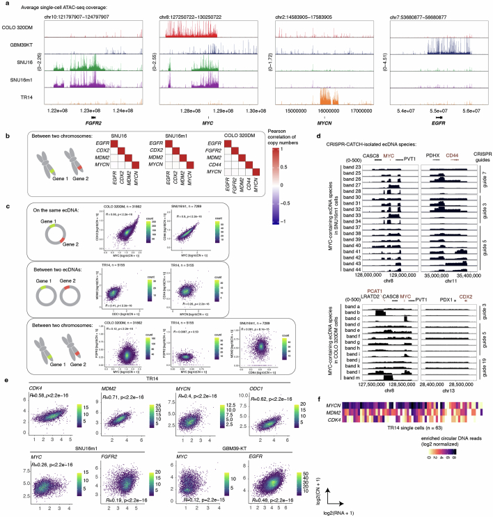 Extended Data Fig. 3