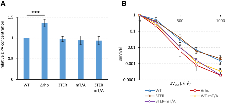 Figure 5