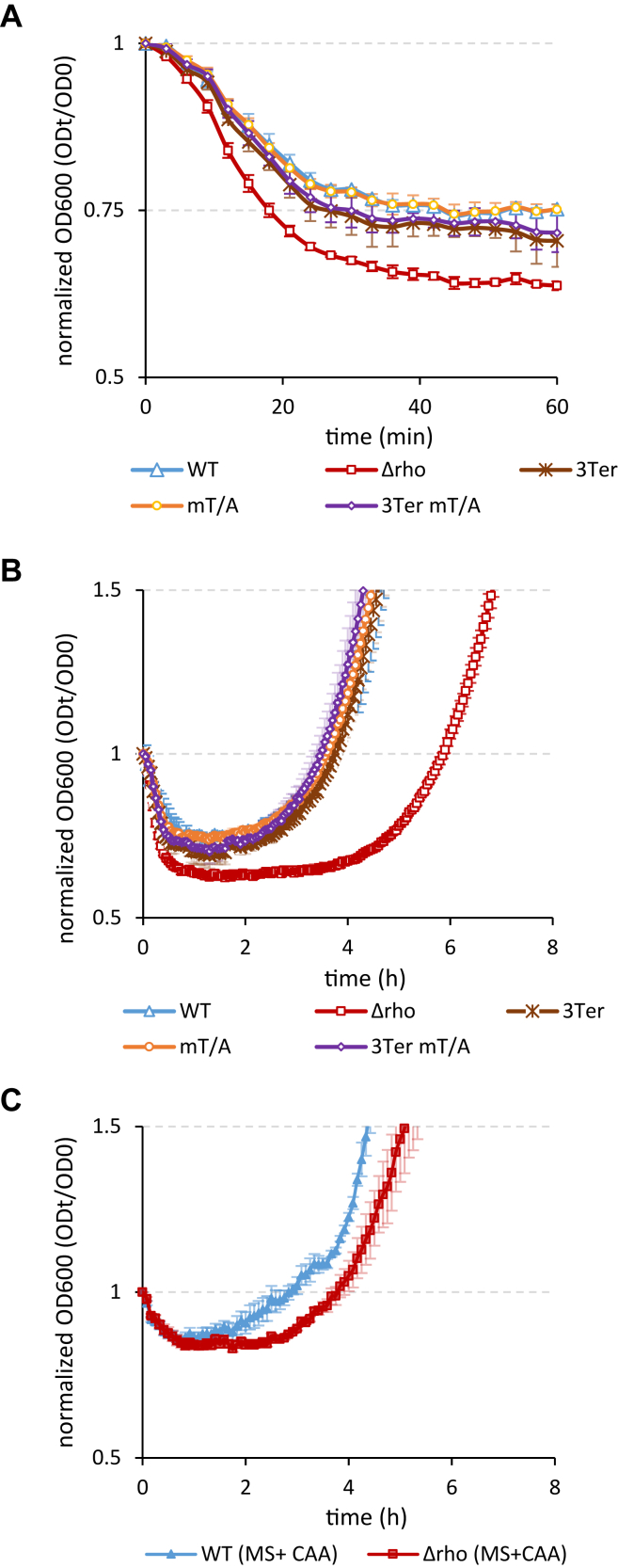 Figure 7