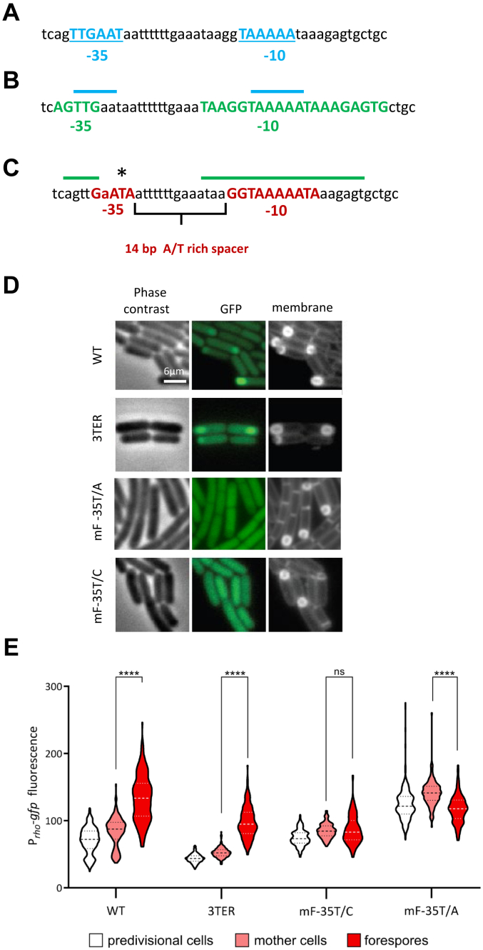 Figure 4