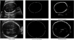 Fig. 9