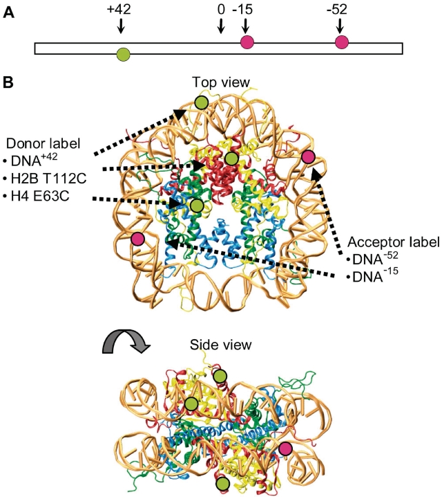 Figure 2.