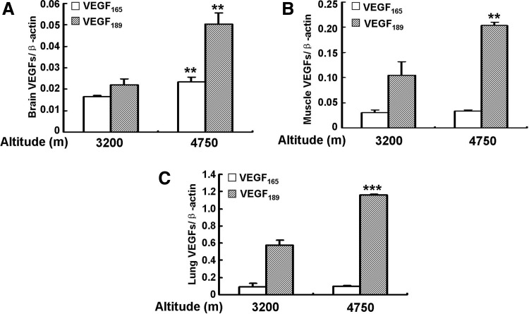 FIG. 8.