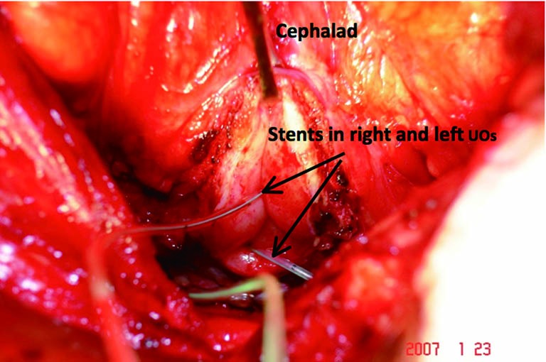 Figure 5