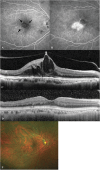 Fig. 4.
