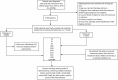 Flowchart detailing the selection and processing of renal cell carcinoma patient data from the SEER database (2010-2018). Out of 347,786 patients, 51,566 were included; 296,220 were excluded due to inadequate data. The dataset was split into a training set of 36,096 and a testing set of 15,470 in a 7:3 ratio. Various machine learning models were applied, including LR, DT, RF, NBC, KNN, SVM, Enet, MLP, XGB, and LghtGBM, using k-fold cross-validation with stochastic optimization. The best model was validated with 726 external patients from Shanxi Medical University for constructing a web calculator.