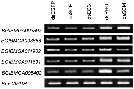 Figure 5