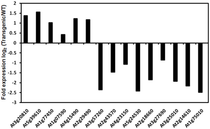 Figure 5