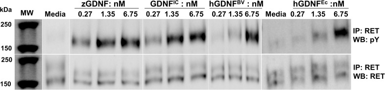 Fig 5