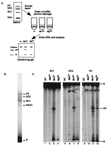 FIG. 3.