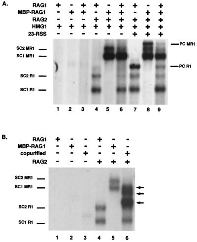 FIG. 6.