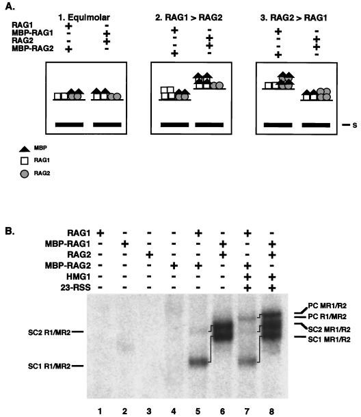 FIG. 5.