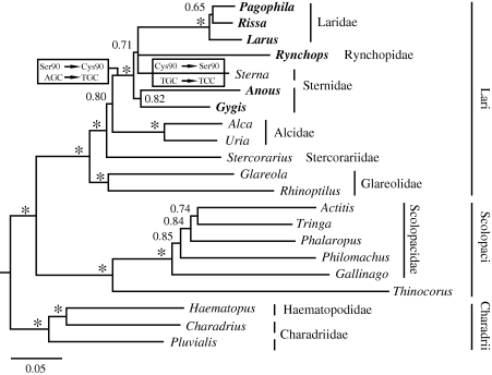 Figure 1.