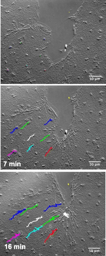 Fig. 4