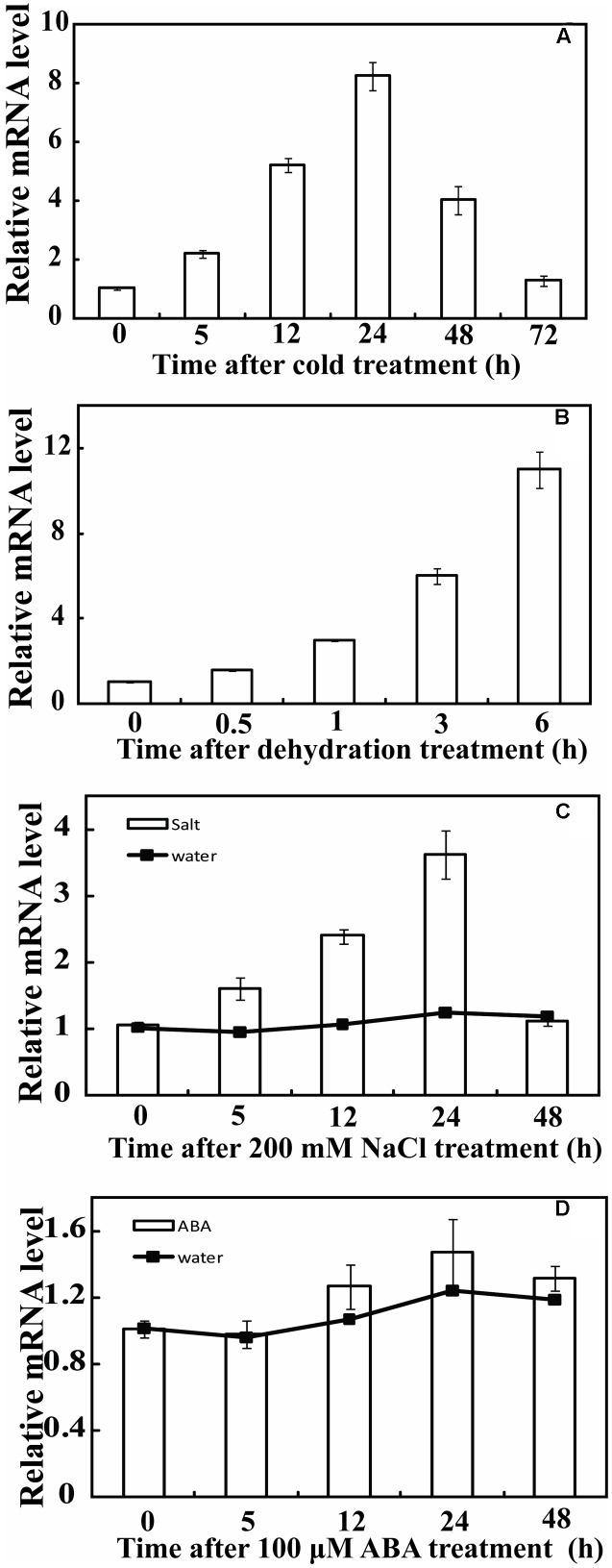 FIGURE 3