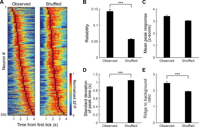 Figure 4—figure supplement 1.