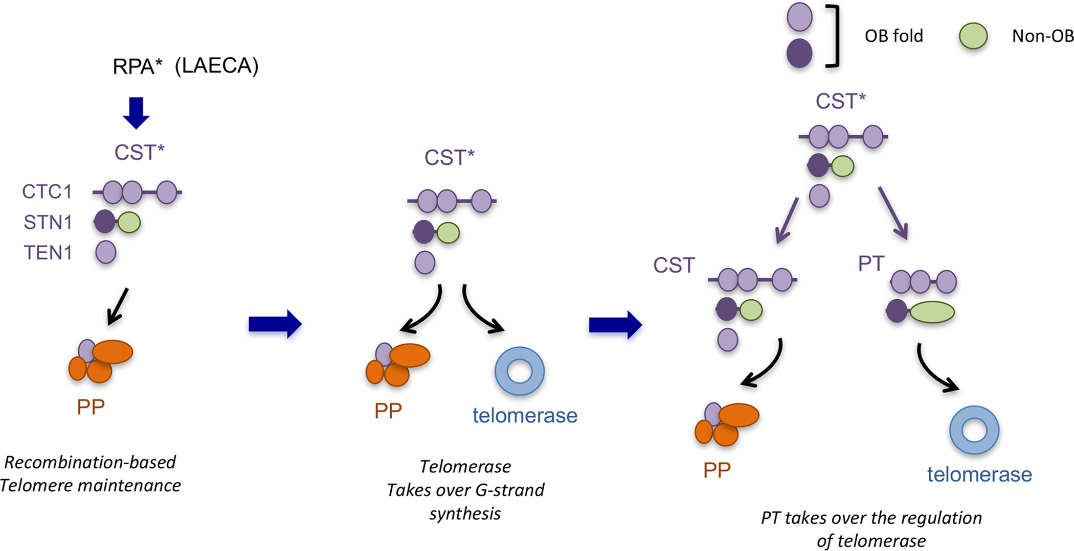 Figure 4 (Key Figure).