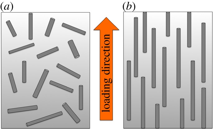 Figure 6.