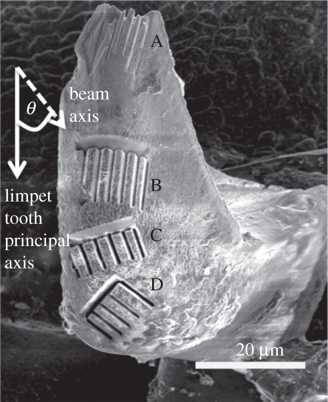 Figure 2.