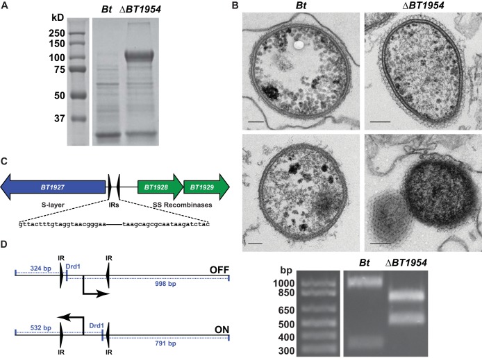 FIG 1 