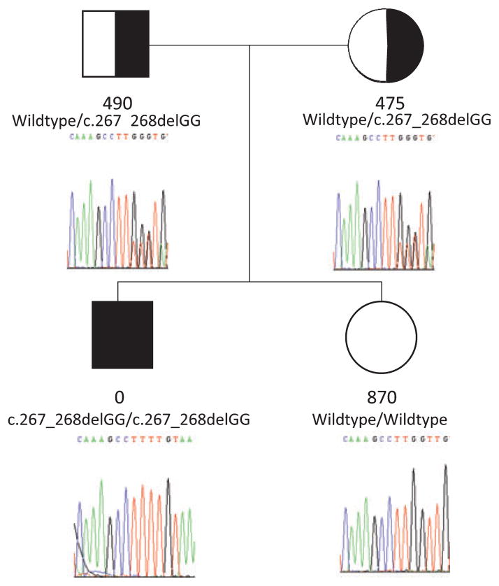 Fig. 3