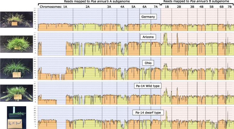 Fig. 6