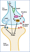 Figure 7: