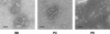 FIG. 1.