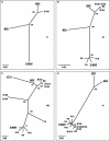 FIG. 3.