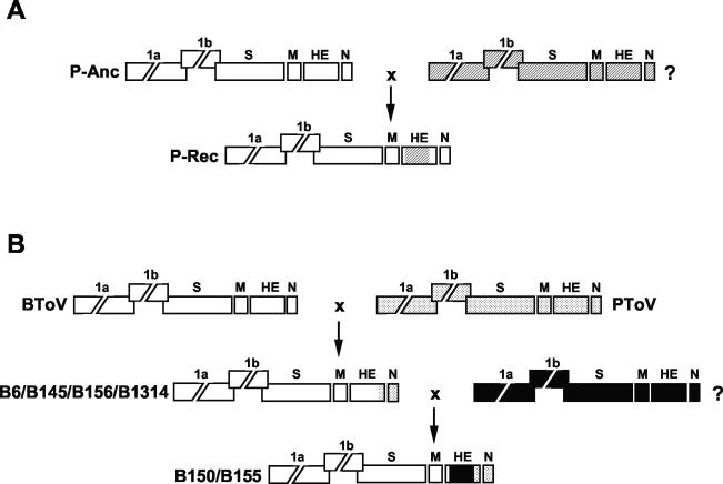 FIG. 6.