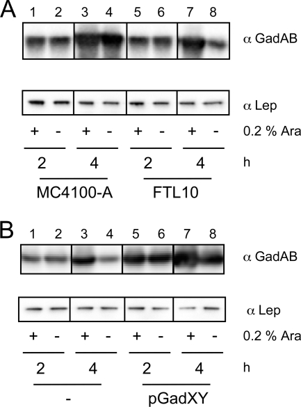 FIG. 4.