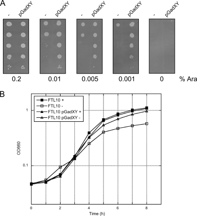 FIG. 2.