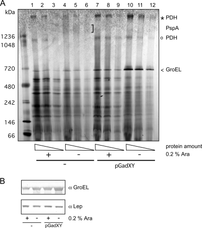 FIG. 6.