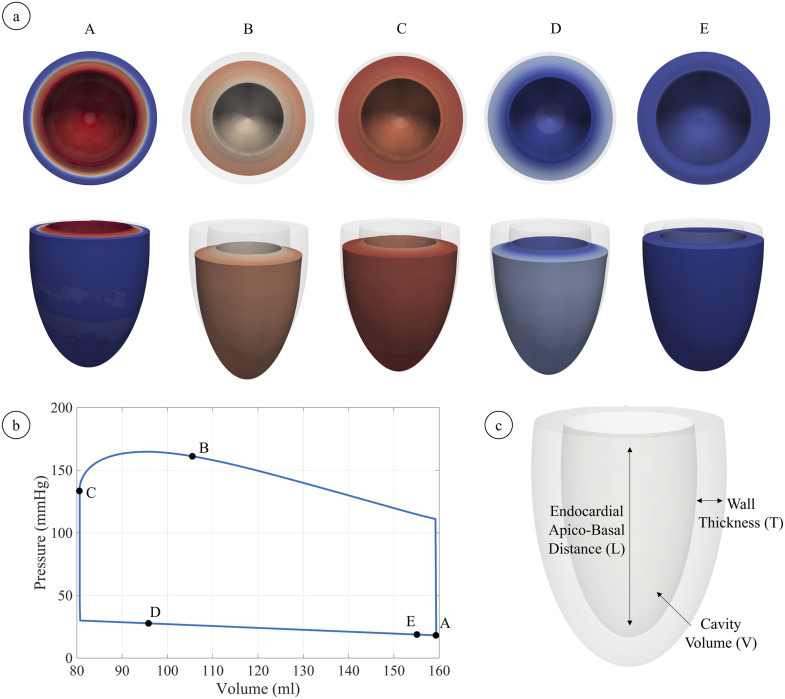 Fig. 3.1