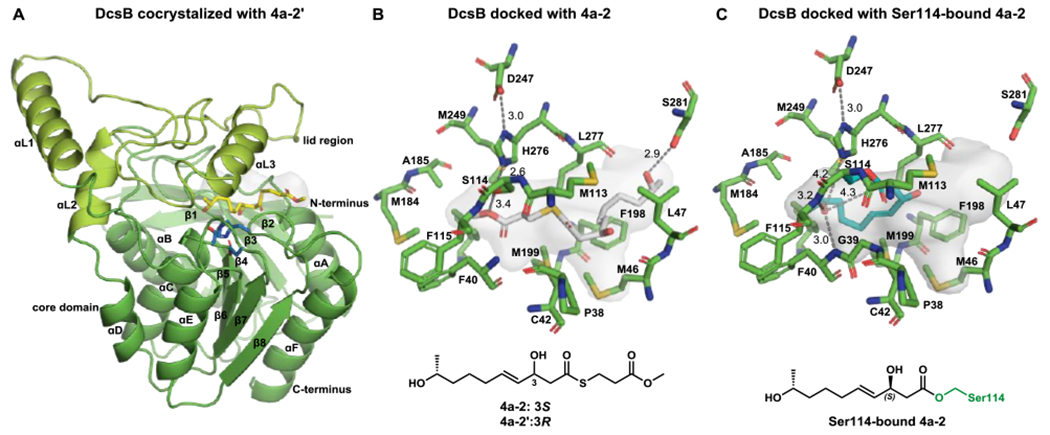 Figure 4.