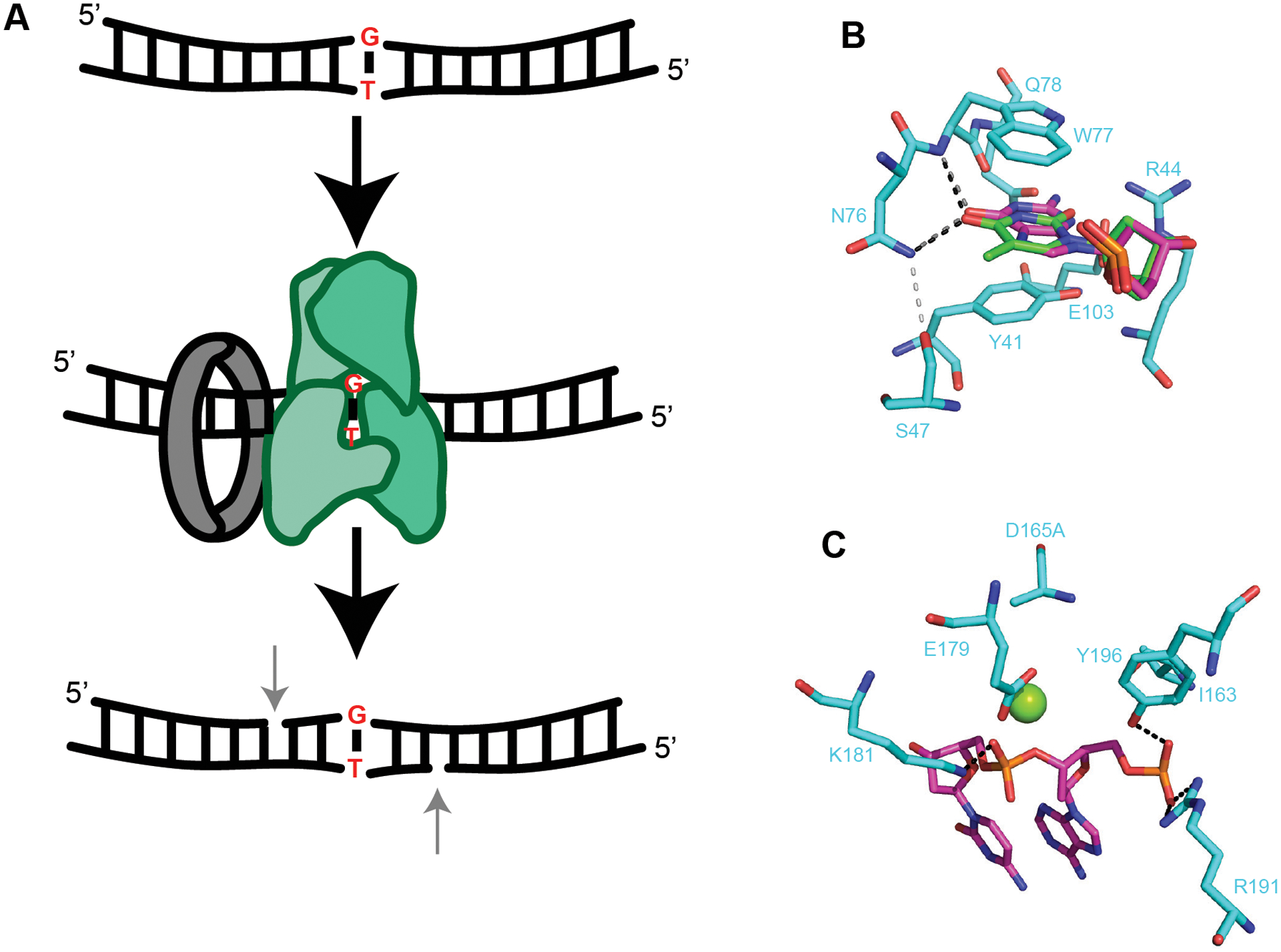 Figure 5.